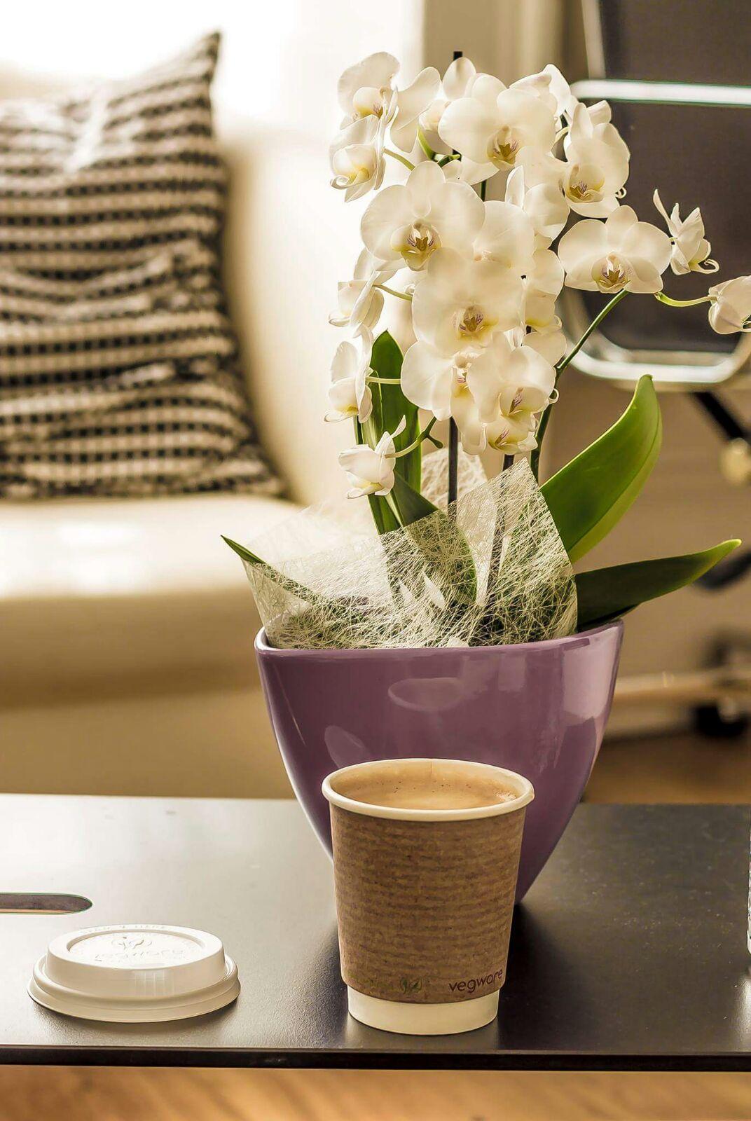 Belgravia Гостевой дом 4*