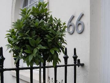 Belgravia Гостевой дом 4*